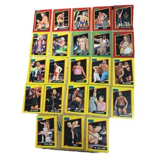 Vintage 1991 WCW Trading Cards